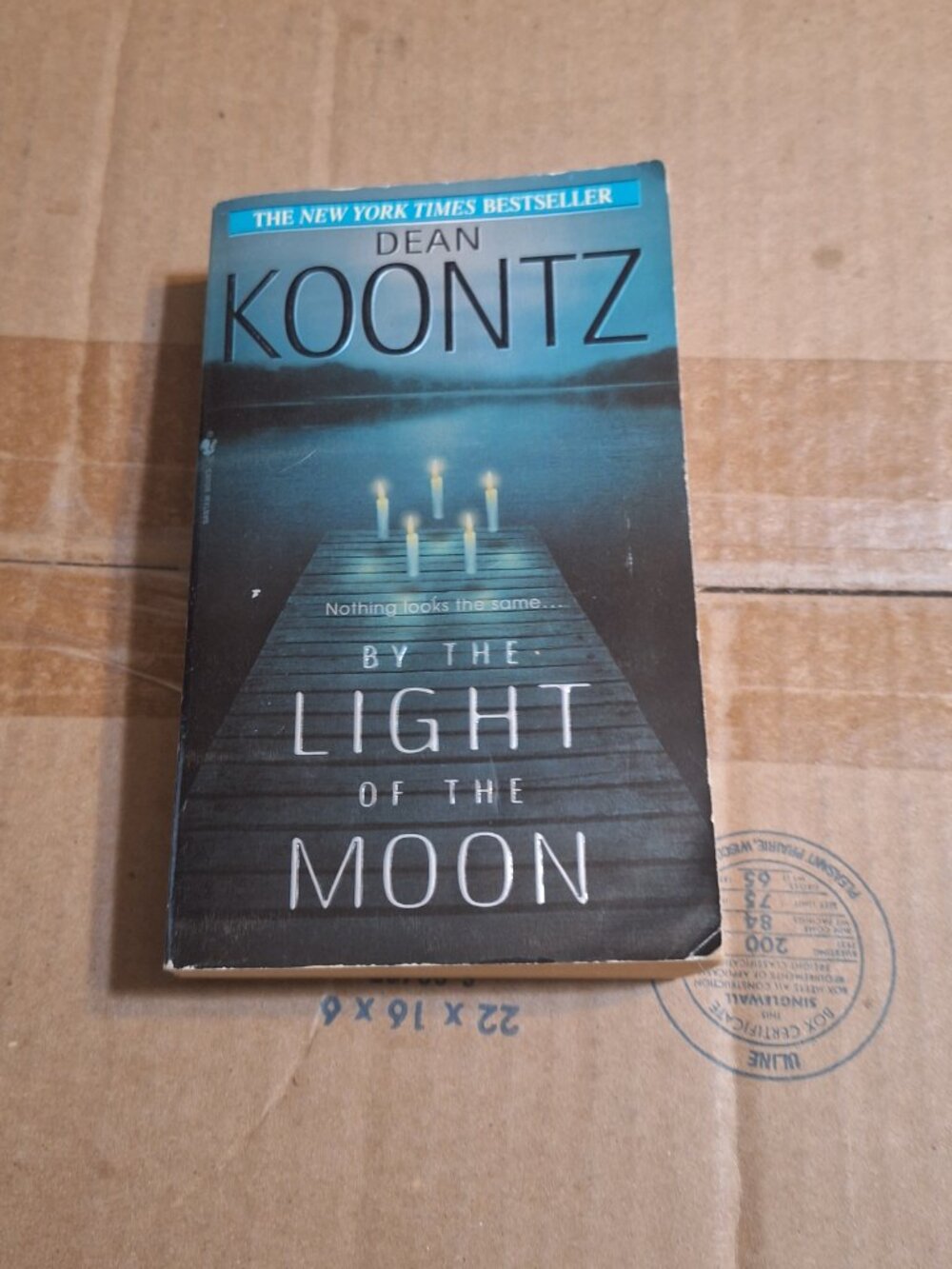 By the light of the moon